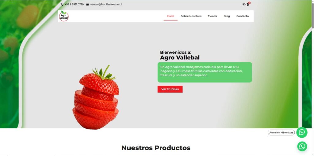 Frutillas frescas